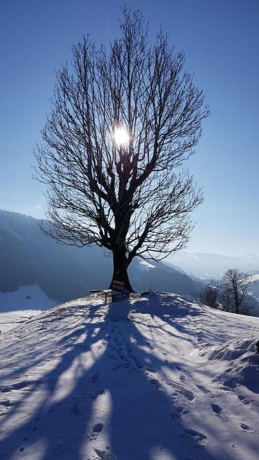 Gasthof Schoental Oberau Extérieur photo